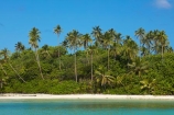 Motutapu-Is;Motutapu-Island;beach;beaches;Cook-Is;Cook-Islands;Muri-Beach;Muri-Lagoon;Pacific;palm;palm-tree;palm-trees;palms;Rarotonga;South-Pacific;tropical;tropical-beach;tropical-island;tropical-islands;tropical-palm-tree