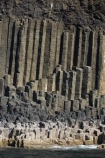 Argyll-and-Bute;basalt-column;basalt-columns;basalt-formation;basalt-formations;basaltic-lava;bluff;bluffs;Britain;cliff;cliffs;columnar-basalt;columnar-jointed-basalt;extrusive-volcanic-rock;formations;G.B.;GB;geological;geology;Great-Britain;hexagonal-basalt-columns;hexagonally-jointed-basalt-columns;Highlands;Inner-Hebrides;Island-of-Mull;Island-of-Staffa;Isle-of-Mull;Isle-of-Staffa;lava-column;lava-columns;Mull;Mull-Island;National-Nature-Reserve;polygonal;rock;rock-column;rock-columns;rock-formation;rock-formations;rock-outcrop;rock-outcrops;rocks;Scotland;Scottish-Highlands;sea-cliff;sea-cliffs;Stafa;Staffa;Staffa-Island;stone;U.K.;UK;United-Kingdom;volcanic-column;volcanic-columns;volcanic-formation;volcanic-formations;volcanic-rock