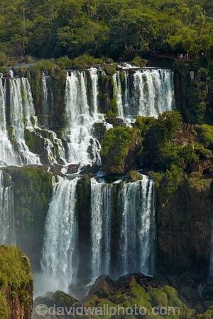 Argentina;border;borders;Brasil;Brazil;cascade;cascades;Cataratas-del-Iguazú;fall;falls;Iguacu-Falls;Iguacu-National-Park;Iguacu-River;Iguassu-Falls;Iguassu-National-Park;Iguazu-Falls;Iguazu-N.P.;Iguazu-National-Park;Iguazu-NP;Iguazu-River;Iguazú-Falls;Iguazú-N.P.;Iguazú-National-Park;Iguazú-NP;Iguaçu-Falls;Iguaçu-National-Park;Latin-America;Misiones;Misiones-Province;national-park;national-parks;natural;nature;Parana;Parana-State;Paraná;Paraná-State;scene;scenic;South-America;Sth-America;The-Iguazu-Falls;tourism;tourist;tourists;travel;UN-world-heritage-area;UN-world-heritage-site;UNESCO-World-Heritage-area;UNESCO-World-Heritage-Site;united-nations-world-heritage-area;united-nations-world-heritage-site;water;water-fall;water-falls;waterfall;waterfalls;wet;world-heritage;world-heritage-area;world-heritage-areas;World-Heritage-Park;World-Heritage-site;World-Heritage-Sites
