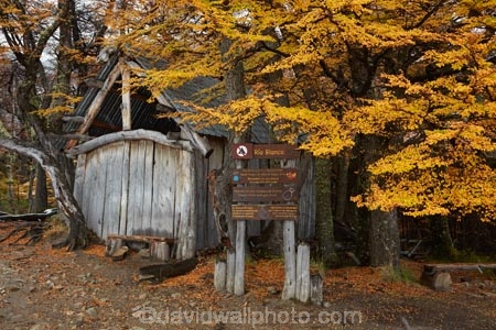 Argentina;Argentine-Patagonia;Argentine-Republic;autuminal;autumn;autumn-colour;autumn-colours;autumnal;beech;beech-tree;beech-trees;beeches;cabin;cabins;color;colors;colour;colours;deciduous;El-Chalten;fall;Glacier-National-Park;gold;golden;hiking-path;hiking-paths;hiking-trail;hiking-trails;hut;huts;Latin-America;leaf;leaves;lenga;lenga-beech;lengas;Los-Glaciares;Los-Glaciares-N.P.;Los-Glaciares-National-Park;Los-Glaciares-NP;national-park;national-parks;Northofagus;Northofagus-pumilio;NP;park;parks;Parque-Nacional-Los-Glaciares;Patagonia;Patagonian;path;paths;pathway;pathways;Rio-Blanco;Rio-Blanco-Hut;Rio-Blanco-shelter;route;routes;Santa-Cruz-Province;season;seasonal;seasons;shelter;shelters;South-America;South-Argentina;Southern-Argentina;southern-beech;southern-beeches;Sth-America;track;tracks;trail;trails;tramping-trail;tramping-trails;tree;trees;UN-world-heritage-area;UN-world-heritage-site;UNESCO-World-Heritage-area;UNESCO-World-Heritage-Site;united-nations-world-heritage-area;united-nations-world-heritage-site;walking-path;walking-paths;walking-trail;walking-trails;walkway;walkways;world-heritage;world-heritage-area;world-heritage-areas;World-Heritage-Park;World-Heritage-site;World-Heritage-Sites;yellow