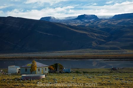 agricultural;agriculture;Argentina;Argentine-Patagonia;Argentine-Republic;autuminal;autumn;autumn-colour;autumn-colours;autumnal;color;colors;colour;colours;corrugated-building;corrugated-iron;corrugated-metal;corrugated-steel;country;countryside;deciduous;fall;farm;farmhouse;farmhouses;farming;farmland;farms;field;fields;gold;golden;house;house-houses;houses;lake;lakes;Latin-America;leaf;leaves;meadow;meadows;paddock;paddocks;pasture;pastures;Patagonia;Patagonian;Patagonian-steppe;roofing-iron;roofing-metal;rural;Santa-Cruz-Province;season;seasonal;seasons;South-America;South-Argentina;Southern-Argentina;Sth-America;tree;trees;yellow;zincalume