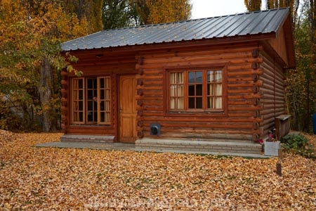 accommodation;Argentina;Argentine-Patagonia;Argentine-Republic;autuminal;autumn;autumn-colour;autumn-colours;autumn-leaves;autumnal;color;colors;colour;colours;deciduous;El-Calafate;El-Puente-Apartment;El-Puente-Apartments;fall;gold;golden;Latin-America;leaf;leaves;log-cabin;log-cabins;Patagonia;Patagonian;rustic;Santa-Cruz-Province;season;seasonal;seasons;South-America;South-Argentina;Southern-Argentina;Sth-America;tree;trees;yellow