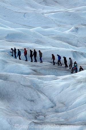 adventure-travel;Argentina;Argentine-Patagonia;Argentine-Republic;cold;Glaciar-Perito-Moreno;glacier;glacier-hiking;Glacier-National-Park;glacier-trekking;glaciers;Heilo-amp;-Aventura;Hielo-and-Aventura;hiker;hikers;ice;ice-hiking;ice-trekking;icefield;icefields;icy;Latin-America;Los-Glaciares;Los-Glaciares-N.P.;Los-Glaciares-National-Park;Los-Glaciares-NP;national-park;national-parks;NP;park;parks;Parque-Nacional-Los-Glaciares;Patagonia;Patagonian;people;Perito-Moreno;Perito-Moreno-Glacier;person;Santa-Cruz-Province;South-America;South-Argentina;Southern-Argentina;Sth-America;tourism;tourist;tourists;travel;trekker;trekkers;UN-world-heritage-area;UN-world-heritage-site;UNESCO-World-Heritage-area;UNESCO-World-Heritage-Site;united-nations-world-heritage-area;united-nations-world-heritage-site;walker;walkers;world-heritage;world-heritage-area;world-heritage-areas;World-Heritage-Park;World-Heritage-site;World-Heritage-Sites