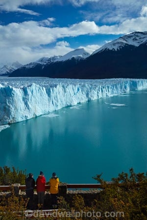 Argentina;Argentine-Patagonia;Argentine-Republic;Argentino-Lake;boardwalk;boardwalks;Canal-de-los-Tempanos;cold;families;family;family-travel;female;females;girl;girls;Glaciar-Perito-Moreno;glacier;glacier-face;Glacier-National-Park;glacier-terminal-face;glacier-terminus;glaciers;ice;Iceberg-Channel;icefield;icefields;icy;Lago-Argentino;Latin-America;lookout;lookouts;Los-Glaciares;Los-Glaciares-N.P.;Los-Glaciares-National-Park;Los-Glaciares-NP;M.R.;Magellanes-Peninsula;model-release;model-released;MR;national-park;national-parks;NP;park;parks;Parque-Nacional-Los-Glaciares;Patagonia;Patagonian;Peninsula-Magellanes;people;Perito-Moreno;Perito-Moreno-Glacier;person;Santa-Cruz-Province;South-America;South-Argentina;Southern-Argentina;Sth-America;terminal-face;terminus;tourism;tourist;tourists;travel;UN-world-heritage-area;UN-world-heritage-site;UNESCO-World-Heritage-area;UNESCO-World-Heritage-Site;united-nations-world-heritage-area;united-nations-world-heritage-site;viewing-platform;viewing-platforms;walkway;walkways;world-heritage;world-heritage-area;world-heritage-areas;World-Heritage-Park;World-Heritage-site;World-Heritage-Sites