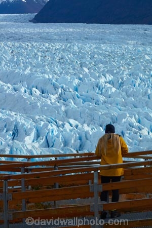 Argentina;Argentine-Patagonia;Argentine-Republic;boardwalk;boardwalks;Canal-de-los-Tempanos;cold;female;females;girl;girls;Glaciar-Perito-Moreno;glacier;Glacier-National-Park;glaciers;ice;Iceberg-Channel;icefield;icefields;icy;Latin-America;lookout;lookouts;Los-Glaciares;Los-Glaciares-N.P.;Los-Glaciares-National-Park;Los-Glaciares-NP;M.R.;Magellanes-Peninsula;model-release;model-released;MR;national-park;national-parks;NP;park;parks;Parque-Nacional-Los-Glaciares;Patagonia;Patagonian;Peninsula-Magellanes;people;Perito-Moreno;Perito-Moreno-Glacier;person;Santa-Cruz-Province;South-America;South-Argentina;Southern-Argentina;Sth-America;tourism;tourist;tourists;travel;UN-world-heritage-area;UN-world-heritage-site;UNESCO-World-Heritage-area;UNESCO-World-Heritage-Site;united-nations-world-heritage-area;united-nations-world-heritage-site;viewing-platform;viewing-platforms;walkway;walkways;world-heritage;world-heritage-area;world-heritage-areas;World-Heritage-Park;World-Heritage-site;World-Heritage-Sites