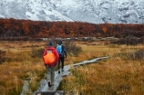 Argentina;Argentine-Patagonia;Argentine-Republic;autuminal;autumn;autumn-colour;autumn-colours;autumnal;beech;beech-tree;beech-trees;beeches;boardwalk;boardwalks;cold;color;colors;colour;colours;deciduous;El-Chalten;fall;Glacier-National-Park;gold;golden;hiker;hikers;hiking;hiking-path;hiking-paths;hiking-trail;hiking-trails;Latin-America;leaf;leaves;lenga;lenga-beech;lengas;Los-Glaciares;Los-Glaciares-N.P.;Los-Glaciares-National-Park;Los-Glaciares-NP;M.R.;model-release;model-released;mountain;mountains;MR;national-park;national-parks;Northofagus;Northofagus-pumilio;NP;park;parks;Parque-Nacional-Los-Glaciares;Patagonia;Patagonian;path;paths;pathway;pathways;people;person;route;routes;Santa-Cruz-Province;season;seasonal;seasons;snow;snowy;South-America;South-Argentina;Southern-Argentina;southern-beech;southern-beeches;Sth-America;track;tracks;trail;trails;tramper;trampers;tramping;tramping-trail;tramping-trails;tree;trees;trekker;trekkers;trekking;UN-world-heritage-area;UN-world-heritage-site;UNESCO-World-Heritage-area;UNESCO-World-Heritage-Site;united-nations-world-heritage-area;united-nations-world-heritage-site;walker;walkers;walking;walking-path;walking-paths;walking-trail;walking-trails;walkway;walkways;world-heritage;world-heritage-area;world-heritage-areas;World-Heritage-Park;World-Heritage-site;World-Heritage-Sites;yellow