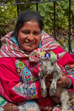 alpaca;alpacas;Andean;animal;Cusco;Cuzco;indigenous;indigenous-Peruvian;indigenous-Peruvians;Latin-America;Native-Peruvian;Native-Peruvians;people;person;Peru;Peruvian;Peruvians;Quechua;Quechua-People;Republic-of-Peru;South-America;Sth-America;stock;tourism;traditional-clothes;traditional-costume;traditional-costumes;traditional-dress;travel;UN-world-heritage-area;UN-world-heritage-site;UNESCO-World-Heritage-area;UNESCO-World-Heritage-Site;united-nations-world-heritage-area;united-nations-world-heritage-site;Vicugna-pacos;world-heritage;world-heritage-area;world-heritage-areas;World-Heritage-Park;World-Heritage-site;World-Heritage-Sites