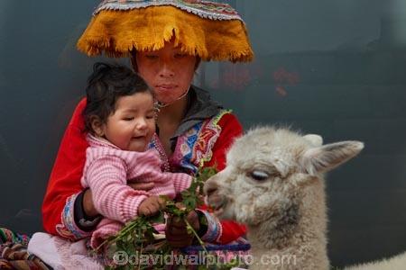 alpaca;alpacas;Andean;animal;babies;baby;Cusco;Cuzco;girl;girls;indigenous;indigenous-Peruvian;indigenous-Peruvians;Latin-America;Native-Peruvian;Native-Peruvians;people;person;Peru;Peruvian;Peruvians;Quechua;Quechua-People;Republic-of-Peru;South-America;Sth-America;stock;toddler;toddlers;tourism;traditional-clothes;traditional-costume;traditional-costumes;traditional-dress;travel;UN-world-heritage-area;UN-world-heritage-site;UNESCO-World-Heritage-area;UNESCO-World-Heritage-Site;united-nations-world-heritage-area;united-nations-world-heritage-site;Vicugna-pacos;world-heritage;world-heritage-area;world-heritage-areas;World-Heritage-Park;World-Heritage-site;World-Heritage-Sites
