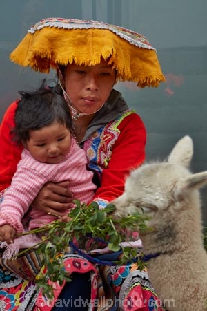 alpaca;alpacas;Andean;animal;babies;baby;Cusco;Cuzco;girl;girls;indigenous;indigenous-Peruvian;indigenous-Peruvians;Latin-America;Native-Peruvian;Native-Peruvians;people;person;Peru;Peruvian;Peruvians;Quechua;Quechua-People;Republic-of-Peru;South-America;Sth-America;stock;toddler;toddlers;tourism;traditional-clothes;traditional-costume;traditional-costumes;traditional-dress;travel;UN-world-heritage-area;UN-world-heritage-site;UNESCO-World-Heritage-area;UNESCO-World-Heritage-Site;united-nations-world-heritage-area;united-nations-world-heritage-site;Vicugna-pacos;world-heritage;world-heritage-area;world-heritage-areas;World-Heritage-Park;World-Heritage-site;World-Heritage-Sites
