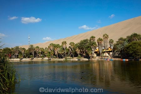 desert;deserts;dune;dunes;Huacachina;Huacachina-Desert;Huacachina-Lagoon;Huacachina-Lake;Huacachina-Oasis;Ica;Ica-Desert;Ica-Region;lagoon;lagoons;Laguna-de-Huacachina;Laguna-Huacachina;lake;Lake-Huacachina;lakes;Latin-America;oasis;palm-trees;Peru;Peruvian-Desert;Republic-of-Peru;sand;sand-dune;sand-dunes;sand-hill;sand-hills;sand_dune;sand_dunes;sand_hill;sand_hills;sanddune;sanddunes;sandhill;sandhills;sandy;South-America;Sth-America;tourism;travel