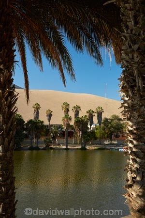desert;deserts;dune;dunes;Huacachina;Huacachina-Desert;Huacachina-Lagoon;Huacachina-Lake;Huacachina-Oasis;Ica;Ica-Desert;Ica-Region;lagoon;lagoons;Laguna-de-Huacachina;Laguna-Huacachina;lake;Lake-Huacachina;lakes;Latin-America;oasis;palm-trees;Peru;Peruvian-Desert;Republic-of-Peru;sand;sand-dune;sand-dunes;sand-hill;sand-hills;sand_dune;sand_dunes;sand_hill;sand_hills;sanddune;sanddunes;sandhill;sandhills;sandy;South-America;Sth-America;tourism;travel