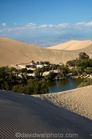 desert;deserts;dune;dunes;Huacachina;Huacachina-Desert;Huacachina-Lagoon;Huacachina-Lake;Huacachina-Oasis;Ica;Ica-Desert;Ica-Region;lagoon;lagoons;Laguna-de-Huacachina;Laguna-Huacachina;lake;Lake-Huacachina;lakes;Latin-America;oasis;palm-trees;Peru;Peruvian-Desert;Republic-of-Peru;sand;sand-dune;sand-dunes;sand-hill;sand-hills;sand_dune;sand_dunes;sand_hill;sand_hills;sanddune;sanddunes;sandhill;sandhills;sandy;South-America;Sth-America;tourism;travel
