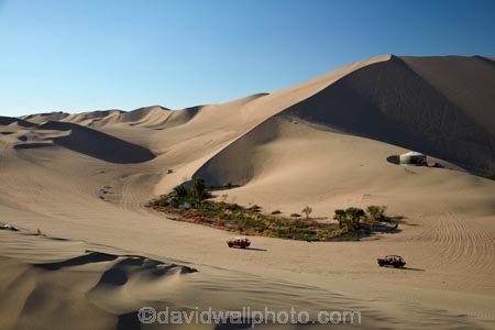 areneros;arid;buggies;buggy;desert;deserts;dune;dune-buggies;dune-buggy;dunes;Huacachina;Huacachina-Desert;Ica;Ica-Desert;Ica-Region;Latin-America;Peru;Peruvian-Desert;recreation;recreational-vehicle;recreational-vehicles;Republic-of-Peru;sand;sand-dune;sand-dunes;sand-hill;sand-hills;sand_dune;sand_dunes;sand_hill;sand_hills;sanddune;sanddunes;sandhill;sandhills;sandy;South-America;Sth-America;tourism;travel