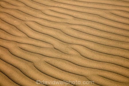 arid;desert;deserts;dune;dunes;Huacachina;Huacachina-Desert;Ica;Ica-Desert;Ica-Region;Latin-America;Peru;Peruvian-Desert;Republic-of-Peru;ripple;rippled;ripples;sand;sand-dune;sand-dunes;sand-hill;sand-hills;sand-ripple;sand-ripples;sand_dune;sand_dunes;sand_hill;sand_hills;sanddune;sanddunes;sandhill;sandhills;sandy;South-America;Sth-America