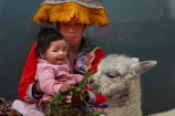 alpaca;alpacas;Andean;animal;babies;baby;Cusco;Cuzco;girl;girls;indigenous;indigenous-Peruvian;indigenous-Peruvians;Latin-America;Native-Peruvian;Native-Peruvians;people;person;Peru;Peruvian;Peruvians;Quechua;Quechua-People;Republic-of-Peru;South-America;Sth-America;stock;toddler;toddlers;tourism;traditional-clothes;traditional-costume;traditional-costumes;traditional-dress;travel;UN-world-heritage-area;UN-world-heritage-site;UNESCO-World-Heritage-area;UNESCO-World-Heritage-Site;united-nations-world-heritage-area;united-nations-world-heritage-site;Vicugna-pacos;world-heritage;world-heritage-area;world-heritage-areas;World-Heritage-Park;World-Heritage-site;World-Heritage-Sites