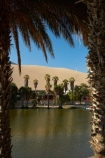 desert;deserts;dune;dunes;Huacachina;Huacachina-Desert;Huacachina-Lagoon;Huacachina-Lake;Huacachina-Oasis;Ica;Ica-Desert;Ica-Region;lagoon;lagoons;Laguna-de-Huacachina;Laguna-Huacachina;lake;Lake-Huacachina;lakes;Latin-America;oasis;palm-trees;Peru;Peruvian-Desert;Republic-of-Peru;sand;sand-dune;sand-dunes;sand-hill;sand-hills;sand_dune;sand_dunes;sand_hill;sand_hills;sanddune;sanddunes;sandhill;sandhills;sandy;South-America;Sth-America;tourism;travel