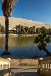 desert;deserts;dune;dunes;Huacachina;Huacachina-Desert;Huacachina-Lagoon;Huacachina-Lake;Huacachina-Oasis;Ica;Ica-Desert;Ica-Region;lagoon;lagoons;Laguna-de-Huacachina;Laguna-Huacachina;lake;Lake-Huacachina;lakes;Latin-America;oasis;palm-trees;Peru;Peruvian-Desert;Republic-of-Peru;sand;sand-dune;sand-dunes;sand-hill;sand-hills;sand_dune;sand_dunes;sand_hill;sand_hills;sanddune;sanddunes;sandhill;sandhills;sandy;South-America;stairs;Sth-America;tourism;travel