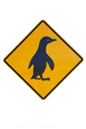 caution;emblem;icon;icons;kiwi-icon;logo;N.Z.;New-Zealand;NZ;penguin;penguin-crossing;penguin-sign;penguin-signs;penguin-warning-sign;penguin-warning-signs;penguins;penguins-crossing;road-sign;road-signs;sign;signs;symbol;symbols;warning-sign;warning-signs;wildlife;yellow;cutout