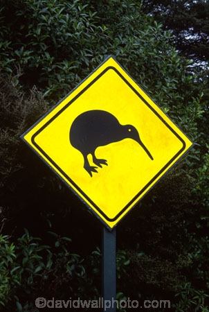 bird;color;colors;colour;colours;driving;emblem;icon;icons;kiwi;Kiwi-icon;Kiwi-icons;kiwiana;logo;native;nature;new-zealand;road-sign;symbol;symbols;yellow
