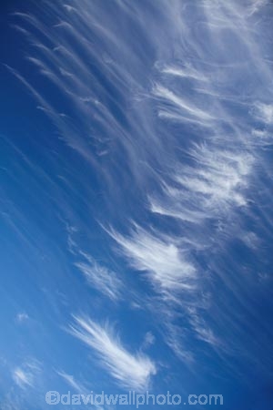 blue-sky;ci;cirrus;cirrus-cloud;cirrus-clouds;cloud;clouds;Dunedin;high-cloud;high-clouds;N.Z.;New-Zealand;NZ;Otago;S.I.;SI;skies;sky;South-Is.;South-Island;white-cloud;white-clouds
