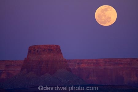 America;American-Southwest;Arizona;AZ;dusk;evening;full-moon;full-moons;GCNRA;Glen-Canyon-National-Recreation-Area;Glen-Canyon-NRA;lunar;lunar-perigee;mesa;mesas;moon;Moon-rise;moonrise;moonrises;moons;night;night-time;night_time;nightfall;Page;South-west-United-States;South-west-US;South-west-USA;South-western-United-States;South-western-US;South-western-USA;Southwest-United-States;Southwest-US;Southwest-USA;Southwestern-United-States;Southwestern-US;Southwestern-USA;States;sunset;sunsets;supermoon;the-Southwest;Tower-Butt;Tower-Butte;twilight;U.S.A;United-States;United-States-of-America;USA;yellow-moon;yellow-moons