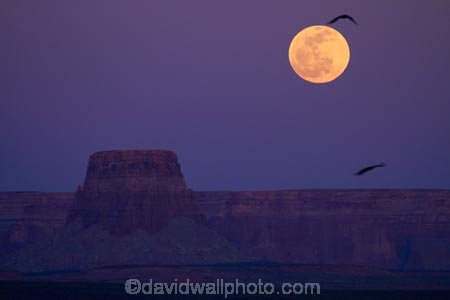 America;American-Southwest;Arizona;AZ;Coconino-County;dusk;evening;full-moon;full-moons;GCNRA;Glen-Canyon-National-Recreation-Area;Glen-Canyon-NRA;lunar;lunar-perigee;mesa;mesas;moon;Moon-rise;moonrise;moonrises;moons;night;night-time;night_time;nightfall;Page;South-west-United-States;South-west-US;South-west-USA;South-western-United-States;South-western-US;South-western-USA;Southwest-United-States;Southwest-US;Southwest-USA;Southwestern-United-States;Southwestern-US;Southwestern-USA;States;sunset;sunsets;supermoon;the-Southwest;Tower-Butt;Tower-Butte;twilight;U.S.A;United-States;United-States-of-America;USA;yellow-moon;yellow-moons