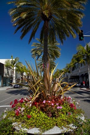 America;Beverly-Hills;boutique;boutiques;building;buildings;CA;California;commerce;commercial;flower;flower-beds;flower-garden;flower-gardens;flowers;L.A.;LA;lavish;Los-Angeles;luxury;luxury-shop;luxury-shopping-street;luxury-shopping-streets;luxury-shops;luxury-store;luxury-stores;N-Rodeo-Dr;N.-Rodeo-Dr;North-Rodeo-Drive;opulence;palm;palm-tree;palm-trees;palms;retail;retail-store;retailer;retailers;Rodeo-Drive;shop;shopper;shoppers;shopping;shops;States;store;stores;street;street-scene;street-scenes;streets;tree;trees;U.S.A;United-States;United-States-of-America;USA;West-Coast;West-United-States;West-US;West-USA;Western-United-States;Western-US;Western-USA