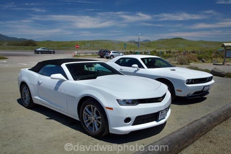 America;American;Big-Sur;CA;California;California-1;California-Central-Coast;California-State-Route-1;Camaro;Camaro-convertable;Camaros;car;cars;Central-Coast;Challenger;Challengers;Chev-Camaro;Chev-Camaros;Chevrolet;Chevrolet-Camaro;Chevrolet-Camaros;Chevrolets;Chevs;Chevy;convertable;convertables;Dodge;Dodge-Challenger;Dodge-Challengers;Dodges;muscle-car;muscle-cars;Pacific-Coast-Highway;Pacific-Coast-Road;Piedras-Blancas;Piedras-Blancas-elephant-seal-rookery;Piedras-Blancas-rookery;Point-Piedras-Blancas;San-Simeon;sports-car;sports-cars;States;The-Big-Sur;The-Central-Coast;U.S.A;United-States;United-States-of-America;USA;West-Coast;West-United-States;West-US;West-USA;Western-United-States;Western-US;Western-USA;white;white-sports-cars