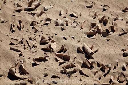 4236;alkalii-flat;america;american;barren;barreness;basin;CA;california;clay-pan;clay-pans;crack;cracked;curled-mud;death;Death-Valley;Death-Valley-N.P.;Death-Valley-National-Park;depression;desert;deserts;desolate;dried-mud;drought;drought-prone;droughts;dry;dry-lake;dry-lake-bed;dry-lake-beds;dry-lakes;empty;endorheic-basin;endorheric;endorheric-basin;endorheric-basins;endorheric-lake;extreme;flat;geographic;geography;glare;glary;Great-Basin;International-Biosphere-Reserve;Inyo-County;lake;lake-bed;lake-beds;lakes;mojave;Mojave-Desert;national;national-park;National-parks;pan;Panamint-Valley;pans;parched-dry;park;pattern;patterns;playa;playas;sabkha;saline;salt;salt-crust;salt-flat;salt-flats;salt-lake;salt-lakes;salt-pan;salt-pans;salt_pan;salt_pans;saltpan;saltpans;salty;states;The-Great-Basin;U.S.A;United-States;United-States-of-America;usa;valley;vast;vlei;waterless;west-coast;West-United-States;West-US;West-USA;Western-United-States;Western-US;Western-USA;white;white-surface