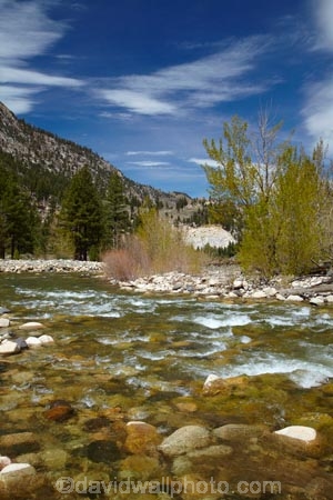 America;American;brook;brooks;CA;California;clean-water;clear-water;creek;creeks;Eastern-Sierra;Mono-County;mountain-stream;river;rivers;Shingle-Mill-Flat-Day-Use-Area;Shingle-Mill-Flat-Picnic-Area;Shingle-Mill-Flat-Picnic-Site;Shingle-Mill-Flat-Rest-Area;Shingle-Mill-Flat-Rest-Site;States;stream;streams;U.S.-Highway-395;U.S.A;United-States;United-States-of-America;USA;Walker;Walker-River;Walker-River-Canyon;water;West-Coast;West-United-States;West-US;West-USA;West-Walker-River;Western-United-States;Western-US;Western-USA