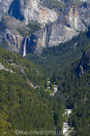 America;American;bluff;bluffs;Bridal-Veil-Fall;Bridal-Veil-Falls;Bridalveil-Creek;Bridalveil-Fall;Bridalveil-Falls;CA;California;cascade;cascades;cliff;cliffs;fall;falls;forest;forested;forests;gorge;gorges;Merced-River;national-park;national-parks;natural;nature;river;rivers;scene;scenic;Sierra-Nevada;Sierra-Nevada-foothills;States;U.S.A;UN-world-heritage-area;UN-world-heritage-site;UNESCO-World-Heritage-area;UNESCO-World-Heritage-Site;united-nations-world-heritage-area;united-nations-world-heritage-site;United-States;United-States-of-America;USA;valley;valleys;water;water-fall;water-falls;waterfall;waterfalls;West-Coast;West-United-States;West-US;West-USA;Western-United-States;Western-US;Western-USA;wet;world-heritage;world-heritage-area;world-heritage-areas;World-Heritage-Park;World-Heritage-site;World-Heritage-Sites;Yosemite;Yosemite-N.P.;Yosemite-Nat-Pk;Yosemite-National-Park;Yosemite-NP;Yosemite-Valley