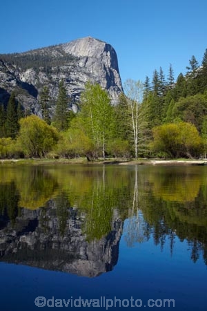 America;American;bluff;bluffs;brook;brooks;CA;California;calm;cliff;cliffs;creek;creeks;forest;forested;forests;granite-dome;Mirror-Lake;Mirror-Lake-Look-Trail;Mirror-Lake-Trail;Mount-Watkins;mountain;mountainous;mountains;Mt-Watkins;Mt.-Watkins;national-park;national-parks;placid;quiet;reflected;reflection;reflections;serene;Sierra-Nevada;Sierra-Nevada-foothills;smooth;States;still;stream;streams;Tenaya-Canyon;Tenaya-Creek;Tenaya-River;Tenaya-Stream;tranquil;tree;trees;U.S.A;UN-world-heritage-area;UN-world-heritage-site;UNESCO-World-Heritage-area;UNESCO-World-Heritage-Site;united-nations-world-heritage-area;united-nations-world-heritage-site;United-States;United-States-of-America;USA;valley;valleys;water;West-Coast;West-United-States;West-US;West-USA;Western-United-States;Western-US;Western-USA;world-heritage;world-heritage-area;world-heritage-areas;World-Heritage-Park;World-Heritage-site;World-Heritage-Sites;Yosemite;Yosemite-N.P.;Yosemite-Nat-Pk;Yosemite-National-Park;Yosemite-NP;Yosemite-Valley