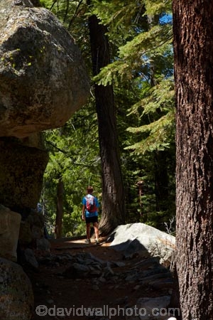 America;American;boy;boys;CA;California;child;children;forest;forested;forests;hiker;hikers;hiking-path;hiking-paths;hiking-trail;hiking-trails;John-Muir-Trail;national-park;national-parks;path;paths;pathway;pathways;people;person;route;routes;shade;shady;Sierra-Nevada;Sierra-Nevada-foothills;States;The-Mist-Trail;tourism;tourist;tourists;track;tracks;trail;trails;tramping-trail;tramping-trails;tree;trees;U.S.A;UN-world-heritage-area;UN-world-heritage-site;UNESCO-World-Heritage-area;UNESCO-World-Heritage-Site;united-nations-world-heritage-area;united-nations-world-heritage-site;United-States;United-States-of-America;USA;visitor;visitors;walker;walkers;walking-path;walking-paths;walking-trail;walking-trails;walkway;walkways;West-Coast;West-United-States;West-US;West-USA;Western-United-States;Western-US;Western-USA;world-heritage;world-heritage-area;world-heritage-areas;World-Heritage-Park;World-Heritage-site;World-Heritage-Sites;Yosemite;Yosemite-N.P.;Yosemite-Nat-Pk;Yosemite-National-Park;Yosemite-NP