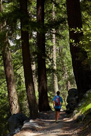 America;American;boy;boys;CA;California;child;children;forest;forested;forests;hiker;hikers;hiking-path;hiking-paths;hiking-trail;hiking-trails;John-Muir-Trail;national-park;national-parks;path;paths;pathway;pathways;people;person;route;routes;shade;shady;Sierra-Nevada;Sierra-Nevada-foothills;States;The-Mist-Trail;tourism;tourist;tourists;track;tracks;trail;trails;tramping-trail;tramping-trails;tree;trees;U.S.A;UN-world-heritage-area;UN-world-heritage-site;UNESCO-World-Heritage-area;UNESCO-World-Heritage-Site;united-nations-world-heritage-area;united-nations-world-heritage-site;United-States;United-States-of-America;USA;visitor;visitors;walker;walkers;walking-path;walking-paths;walking-trail;walking-trails;walkway;walkways;West-Coast;West-United-States;West-US;West-USA;Western-United-States;Western-US;Western-USA;world-heritage;world-heritage-area;world-heritage-areas;World-Heritage-Park;World-Heritage-site;World-Heritage-Sites;Yosemite;Yosemite-N.P.;Yosemite-Nat-Pk;Yosemite-National-Park;Yosemite-NP