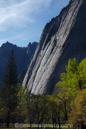 America;American;bluff;bluffs;CA;California;cliff;cliffs;forest;forested;forests;mountain;mountainous;mountains;national-park;national-parks;sheer-cliffs;Sierra-Nevada;Sierra-Nevada-foothills;States;tree;trees;U.S.A;UN-world-heritage-area;UN-world-heritage-site;UNESCO-World-Heritage-area;UNESCO-World-Heritage-Site;united-nations-world-heritage-area;united-nations-world-heritage-site;United-States;United-States-of-America;USA;valley;valleys;West-Coast;West-United-States;West-US;West-USA;Western-United-States;Western-US;Western-USA;world-heritage;world-heritage-area;world-heritage-areas;World-Heritage-Park;World-Heritage-site;World-Heritage-Sites;Yosemite;Yosemite-N.P.;Yosemite-Nat-Pk;Yosemite-National-Park;Yosemite-NP;Yosemite-Valley