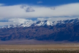 8574;amargosa-mountains;amargosa-range;america;american;CA;california;death;Death-Valley;Death-Valley-N.P.;Death-Valley-National-Park;desert;flat;flats;Grapevine-Mountains;Grapevine-Mtns;Great-Basin;International-Biosphere-Reserve;Inyo-County;mojave;Mojave-Desert;mountain;mountains;national;national-park;National-parks;park;plain;plains;snow;snow-capped;snowy;snowy-mountain;snowy-mountains;states;Stovepipe-Wells;The-Great-Basin;U.S.A;United-States;United-States-of-America;usa;valley;west-coast;West-United-States;West-US;West-USA;Western-United-States;Western-US;Western-USA