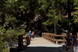 America;American;bridge;bridges;CA;California;foot-bridge;foot-bridges;footbridge;footbridges;forest;forested;forests;gorge;gorges;hiker;hikers;hiking-path;hiking-paths;hiking-trail;hiking-trails;John-Muir-Trail;Merced-River;national-park;national-parks;path;paths;pathway;pathways;pedestrian-bridge;pedestrian-bridges;people;person;route;routes;Sierra-Nevada;Sierra-Nevada-foothills;States;The-Mist-Trail;tourism;tourist;tourists;track;tracks;trail;trails;tramping-trail;tramping-trails;tree;trees;U.S.A;UN-world-heritage-area;UN-world-heritage-site;UNESCO-World-Heritage-area;UNESCO-World-Heritage-Site;united-nations-world-heritage-area;united-nations-world-heritage-site;United-States;United-States-of-America;USA;valley;valleys;Vernal-Fall-Bridge;Vernal-Falls-Bridge;visitor;visitors;walker;walkers;walking-path;walking-paths;walking-trail;walking-trails;walkway;walkways;West-Coast;West-United-States;West-US;West-USA;Western-United-States;Western-US;Western-USA;world-heritage;world-heritage-area;world-heritage-areas;World-Heritage-Park;World-Heritage-site;World-Heritage-Sites;Yosemite;Yosemite-N.P.;Yosemite-Nat-Pk;Yosemite-National-Park;Yosemite-NP