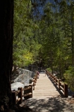America;American;bridge;bridges;brook;brooks;CA;California;creek;creeks;foot-bridge;foot-bridges;Footbridge;footbridges;forest;forested;forests;hiker;hikers;hiking-path;hiking-paths;hiking-trail;hiking-trails;John-Muir-Trail;Merced-River;mountain;mountainous;mountains;national-park;national-parks;path;paths;pathway;pathways;pedestrian-bridge;pedestrian-bridges;people;person;river;rivers;route;routes;Sierra-Nevada;Sierra-Nevada-foothills;States;stream;streams;The-Mist-Trail;tourism;tourist;tourists;track;tracks;trail;trails;tramping-trail;tramping-trails;tree;trees;U.S.A;UN-world-heritage-area;UN-world-heritage-site;UNESCO-World-Heritage-area;UNESCO-World-Heritage-Site;united-nations-world-heritage-area;united-nations-world-heritage-site;United-States;United-States-of-America;USA;valley;valleys;Vernal-Fall-Bridge;Vernal-Falls-Bridge;visitor;visitors;walker;walkers;walking-path;walking-paths;walking-trail;walking-trails;walkway;walkways;water;West-Coast;West-United-States;West-US;West-USA;Western-United-States;Western-US;Western-USA;world-heritage;world-heritage-area;world-heritage-areas;World-Heritage-Park;World-Heritage-site;World-Heritage-Sites;Yosemite;Yosemite-N.P.;Yosemite-Nat-Pk;Yosemite-National-Park;Yosemite-NP
