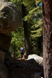 America;American;boy;boys;CA;California;child;children;forest;forested;forests;hiker;hikers;hiking-path;hiking-paths;hiking-trail;hiking-trails;John-Muir-Trail;national-park;national-parks;path;paths;pathway;pathways;people;person;route;routes;shade;shady;Sierra-Nevada;Sierra-Nevada-foothills;States;The-Mist-Trail;tourism;tourist;tourists;track;tracks;trail;trails;tramping-trail;tramping-trails;tree;trees;U.S.A;UN-world-heritage-area;UN-world-heritage-site;UNESCO-World-Heritage-area;UNESCO-World-Heritage-Site;united-nations-world-heritage-area;united-nations-world-heritage-site;United-States;United-States-of-America;USA;visitor;visitors;walker;walkers;walking-path;walking-paths;walking-trail;walking-trails;walkway;walkways;West-Coast;West-United-States;West-US;West-USA;Western-United-States;Western-US;Western-USA;world-heritage;world-heritage-area;world-heritage-areas;World-Heritage-Park;World-Heritage-site;World-Heritage-Sites;Yosemite;Yosemite-N.P.;Yosemite-Nat-Pk;Yosemite-National-Park;Yosemite-NP