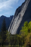 America;American;bluff;bluffs;CA;California;cliff;cliffs;forest;forested;forests;mountain;mountainous;mountains;national-park;national-parks;sheer-cliffs;Sierra-Nevada;Sierra-Nevada-foothills;States;tree;trees;U.S.A;UN-world-heritage-area;UN-world-heritage-site;UNESCO-World-Heritage-area;UNESCO-World-Heritage-Site;united-nations-world-heritage-area;united-nations-world-heritage-site;United-States;United-States-of-America;USA;valley;valleys;West-Coast;West-United-States;West-US;West-USA;Western-United-States;Western-US;Western-USA;world-heritage;world-heritage-area;world-heritage-areas;World-Heritage-Park;World-Heritage-site;World-Heritage-Sites;Yosemite;Yosemite-N.P.;Yosemite-Nat-Pk;Yosemite-National-Park;Yosemite-NP;Yosemite-Valley