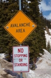 10,640-ft;3243-m;America;American-Southwest;avalanche-area-sign;CO;Coal-Bank-Pass;cold;Colorado;Colorado-Plateau;Colorado-Plateau-Province;Colorado-Scenic-and-Historic-Byway-System;forest;forests;Million-Dollar-Highway;mountain-pass;mountain-passes;no-stopping-sign;no-stopping-signs;road-sign;road-signs;Rocky-Mountains;San-Juan-Mountains;San-Juan-National-Forest;San-Juan-Skyway;San-Juan-Skyway-Scenic-Byway;sign;signs;snow;snowy;South-west-United-States;South-west-US;South-west-USA;South-western-United-States;South-western-US;South-western-USA;Southwest-United-States;Southwest-US;Southwest-USA;Southwestern-United-States;Southwestern-US;Southwestern-USA;States;summit;summits;the-Southwest;U.S.-Highway-550;U.S.A;United-States;United-States-of-America;US-550;USA;warning-sign;warning-signs;winter;wood;woods