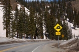 10,640-ft;3243-m;America;American-Southwest;CO;Coal-Bank-Pass;cold;Colorado;Colorado-Plateau;Colorado-Plateau-Province;Colorado-Scenic-and-Historic-Byway-System;forest;forests;Million-Dollar-Highway;mountain-pass;mountain-passes;road-sign;road-signs;Rocky-Mountains;San-Juan-Mountains;San-Juan-National-Forest;San-Juan-Skyway;San-Juan-Skyway-Scenic-Byway;sign;signs;snow;snowy;South-west-United-States;South-west-US;South-west-USA;South-western-United-States;South-western-US;South-western-USA;Southwest-United-States;Southwest-US;Southwest-USA;Southwestern-United-States;Southwestern-US;Southwestern-USA;States;summit;summits;the-Southwest;U.S.-Highway-550;U.S.A;United-States;United-States-of-America;US-550;USA;warning-sign;warning-signs;winter;wood;woods