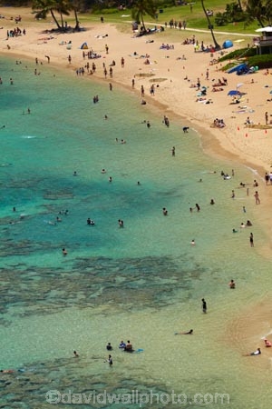 America;American;beach;beaches;coast;coastal;coastline;coastlines;coral-reef;coral-reefs;corals;dive-site;dive-sites;diving;ecosystem;environment;Hanauma;Hanauma-Bay;Hanauma-Bay-Beach;Hanauma-Bay-Nature-Preserve;Hanauma-Bay-Nature-Reserve;Hanauma-Bay-State-Park;Hanauma-Beach;Hanauma-Crater;Hawaii;Hawaiian-Islands;HI;Island-of-Oahu;leisure;marine;marine-environment;marine-life;marinelife;Oahu;Oahu;Oahu-Island;Ocean;oceanlife;Oceans;Outdoor;Outdoors;Outside;Pacific;people;person;Persons;Recreation;reef;reefs;sand;sandy;sea;sealife;seas;snorkelers;snorkeling;snorkellers;snorkelling;snorleler;snorleller;State-of-Hawaii;States;tourisim;tourism;tourist;tourists;tropical-beach;tropical-beaches;tropical-island;tropical-islands;tropical-reef;tropical-reefs;U.S.A;United-States;United-States-of-America;USA;visitor