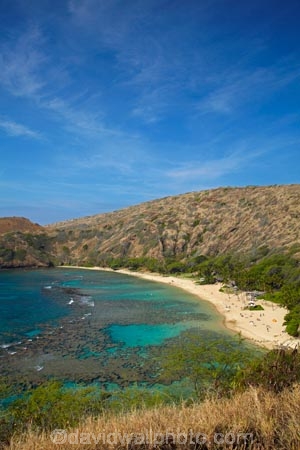 America;American;beach;beaches;coast;coastal;coastline;coastlines;coral-reef;coral-reefs;corals;dive-site;dive-sites;diving;ecosystem;environment;Hanauma;Hanauma-Bay;Hanauma-Bay-Beach;Hanauma-Bay-Nature-Preserve;Hanauma-Bay-Nature-Reserve;Hanauma-Bay-State-Park;Hanauma-Beach;Hanauma-Crater;Hawaii;Hawaiian-Islands;HI;Island-of-Oahu;leisure;marine;marine-environment;marine-life;marinelife;Oahu;Oahu;Oahu-Island;Ocean;oceanlife;Oceans;Outdoor;Outdoors;Outside;Pacific;people;person;Persons;Recreation;reef;reefs;sand;sandy;sea;seas;State-of-Hawaii;States;tourisim;tourism;tourist;tourists;tropical-beach;tropical-beaches;tropical-island;tropical-islands;tropical-reef;tropical-reefs;U.S.A;United-States;United-States-of-America;USA;visitor;volcanic-crater