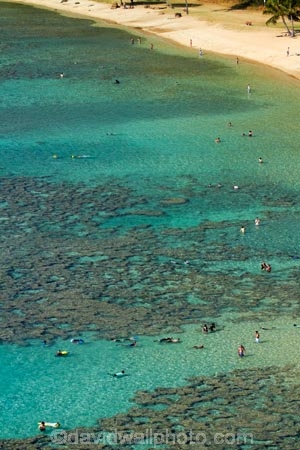 America;American;beach;beaches;coast;coastal;coastline;coastlines;coral-reef;coral-reefs;corals;dive-site;dive-sites;diving;ecosystem;environment;Hanauma;Hanauma-Bay;Hanauma-Bay-Beach;Hanauma-Bay-Nature-Preserve;Hanauma-Bay-Nature-Reserve;Hanauma-Bay-State-Park;Hanauma-Beach;Hanauma-Crater;Hawaii;Hawaiian-Islands;HI;Island-of-Oahu;leisure;marine;marine-environment;marine-life;marinelife;Oahu;Oahu;Oahu-Island;Ocean;oceanlife;Oceans;Outdoor;Outdoors;Outside;Pacific;people;person;Persons;Recreation;reef;reefs;sand;sandy;sea;sealife;seas;snorkelers;snorkeling;snorkellers;snorkelling;snorleler;snorleller;State-of-Hawaii;States;tourisim;tourism;tourist;tourists;tropical-beach;tropical-beaches;tropical-island;tropical-islands;tropical-reef;tropical-reefs;U.S.A;United-States;United-States-of-America;USA;visitor