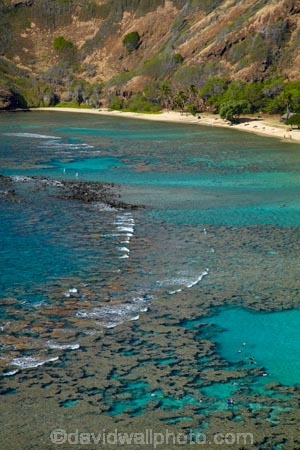 America;American;beach;beaches;coast;coastal;coastline;coastlines;coral-reef;coral-reefs;corals;dive-site;dive-sites;diving;ecosystem;environment;Hanauma;Hanauma-Bay;Hanauma-Bay-Beach;Hanauma-Bay-Nature-Preserve;Hanauma-Bay-Nature-Reserve;Hanauma-Bay-State-Park;Hanauma-Beach;Hanauma-Crater;Hawaii;Hawaiian-Islands;HI;Island-of-Oahu;leisure;marine;marine-environment;marine-life;marinelife;Oahu;Oahu;Oahu-Island;Ocean;oceanlife;Oceans;Outdoor;Outdoors;Outside;Pacific;people;person;Persons;Recreation;reef;reefs;sand;sandy;sea;sealife;seas;snorkelers;snorkeling;snorkellers;snorkelling;snorleler;snorleller;State-of-Hawaii;States;tourisim;tourism;tourist;tourists;tropical-beach;tropical-beaches;tropical-island;tropical-islands;tropical-reef;tropical-reefs;U.S.A;United-States;United-States-of-America;USA;visitor