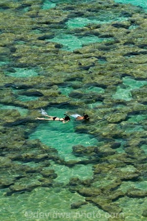 America;American;coral-reef;coral-reefs;corals;dive-site;dive-sites;diving;ecosystem;environment;Hanauma;Hanauma-Bay;Hanauma-Bay-Nature-Preserve;Hanauma-Bay-Nature-Reserve;Hanauma-Bay-State-Park;Hanauma-Crater;Hawaii;Hawaiian-Islands;HI;Island-of-Oahu;leisure;marine;marine-environment;marine-life;marinelife;Oahu;Oahu;Oahu-Island;Ocean;oceanlife;Oceans;Outdoor;Outdoors;Outside;Pacific;people;person;Persons;Recreation;reef;reefs;sea;sealife;seas;snorkelers;snorkeling;snorkellers;snorkelling;snorleler;snorleller;State-of-Hawaii;States;tourisim;tourism;tourist;tourists;tropical-beach;tropical-beaches;tropical-island;tropical-islands;tropical-reef;tropical-reefs;U.S.A;United-States;United-States-of-America;USA;visitor