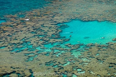America;American;coral-reef;coral-reefs;corals;dive-site;dive-sites;diving;ecosystem;environment;Hanauma;Hanauma-Bay;Hanauma-Bay-Nature-Preserve;Hanauma-Bay-Nature-Reserve;Hanauma-Bay-State-Park;Hanauma-Crater;Hawaii;Hawaiian-Islands;HI;Island-of-Oahu;leisure;marine;marine-environment;marine-life;marinelife;Oahu;Oahu;Oahu-Island;Ocean;oceanlife;Oceans;Outdoor;Outdoors;Outside;Pacific;people;person;Persons;Recreation;reef;reefs;sea;sealife;seas;snorkelers;snorkeling;snorkellers;snorkelling;snorleler;snorleller;State-of-Hawaii;States;tourisim;tourism;tourist;tourists;tropical-beach;tropical-beaches;tropical-island;tropical-islands;tropical-reef;tropical-reefs;U.S.A;United-States;United-States-of-America;USA;visitor