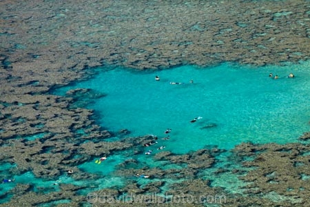 America;American;coral-reef;coral-reefs;corals;dive-site;dive-sites;diving;ecosystem;environment;Hanauma;Hanauma-Bay;Hanauma-Bay-Nature-Preserve;Hanauma-Bay-Nature-Reserve;Hanauma-Bay-State-Park;Hanauma-Crater;Hawaii;Hawaiian-Islands;HI;Island-of-Oahu;leisure;marine;marine-environment;marine-life;marinelife;Oahu;Oahu;Oahu-Island;Ocean;oceanlife;Oceans;Outdoor;Outdoors;Outside;Pacific;people;person;Persons;Recreation;reef;reefs;sea;sealife;seas;snorkelers;snorkeling;snorkellers;snorkelling;snorleler;snorleller;State-of-Hawaii;States;tourisim;tourism;tourist;tourists;tropical-beach;tropical-beaches;tropical-island;tropical-islands;tropical-reef;tropical-reefs;U.S.A;United-States;United-States-of-America;USA;visitor