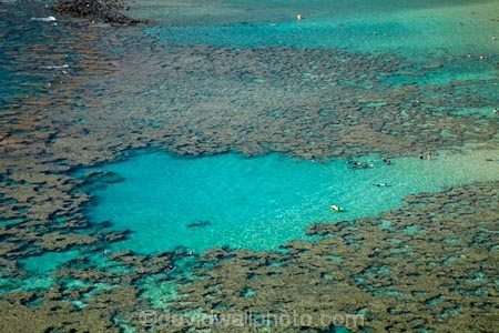 America;American;coral-reef;coral-reefs;corals;dive-site;dive-sites;diving;ecosystem;environment;Hanauma;Hanauma-Bay;Hanauma-Bay-Nature-Preserve;Hanauma-Bay-Nature-Reserve;Hanauma-Bay-State-Park;Hanauma-Crater;Hawaii;Hawaiian-Islands;HI;Island-of-Oahu;leisure;marine;marine-environment;marine-life;marinelife;Oahu;Oahu;Oahu-Island;Ocean;oceanlife;Oceans;Outdoor;Outdoors;Outside;Pacific;people;person;Persons;Recreation;reef;reefs;sea;sealife;seas;snorkelers;snorkeling;snorkellers;snorkelling;snorleler;snorleller;State-of-Hawaii;States;tourisim;tourism;tourist;tourists;tropical-beach;tropical-beaches;tropical-island;tropical-islands;tropical-reef;tropical-reefs;U.S.A;United-States;United-States-of-America;USA;visitor